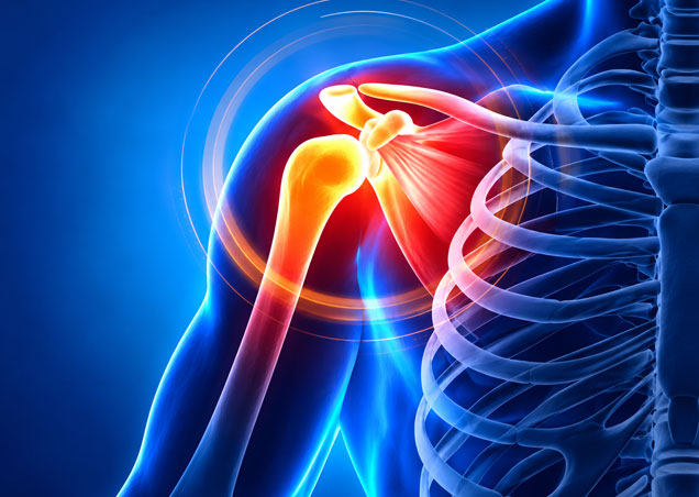 Orthopaedics